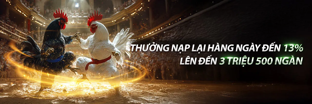 Đấu trường đá gà SV388 Khong rực lửa